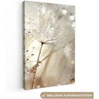 OneMillionCanvasses® Leinwandbild Natur - Blumen - Tropfen - Regen, Fotodruck (1 St), Leinwand Canvas Wandbild, Wanddekoration 20x30 cm