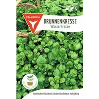 FRANKONIA Kräutersamen Brunnenkresse, Wasserkresse - Kräuter-Samen Gewürz Saatgut Samen, Nasturtium officinae
