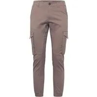 Jack & Jones Cargohose JJIPaul JJFlake (1-tlg)