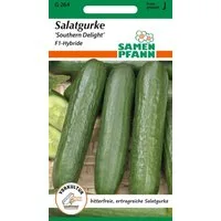 SAMEN PFANN Gemüsesamen Salatgurke, Southern Delight F1 - Gurken-Samen Saatgut Samen, Cucumis sativus, var. Southern Delight F1