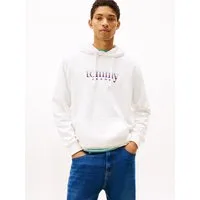 Tommy Jeans Hoodie TJM REG ENTRY DNA PLAY regular fit, mehrfarbiges Logo, Sweatshirt