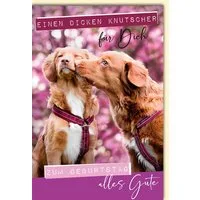 Verlag Dominique Grußkarten Geburtstag - Glückwunschkarte im Format 11,5 x 17 cm - Hunde Knutscher