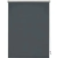 Seitenzugrollo Thermo Klemmrollo Energiesparend, GARDINIA, ohne Bohren, freihängend, Klemmfix, abdunkelnd mit Thermobeschichtung