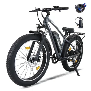 [EU DIRECT] A35 Electric Bike 48V 13Ah 250W Motor 25km/h Max Speed 26-Inch Fat Tire 45-65km Range 150KG Max Load Shiman0