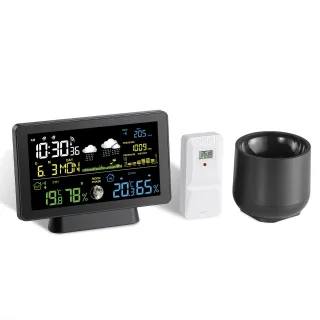 Multi-function Professional Weather Station Alarm Clock Wireless Indoor Outdoor Thermometer With Rain Gauge/ Temperature