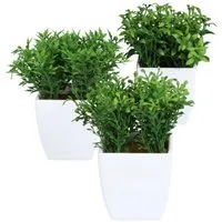Kunstpflanze Künstliches Gras im Topf 13cm, 3 Gräser im Kunststofftopf, Kunstgras, Gasper, Höhe 13.00 cm