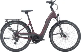 E-Bike  - Pegasus Strong Evo 10 Lite Wave rot   - 55 cm