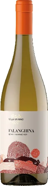 Villa Raiano Falanghina Beneventano IGT Jg. 2024