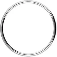 PIERCINGLINE Nasenpiercing Titan Segmentring Clicker Ohrpiercing Septum Nase (Clicker, 1-tlg), Ohrpiercing für Conch, Helix, Tragus, Daith, Lobe