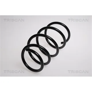 Triscan Feder vorne BMW X3 E83 3,0