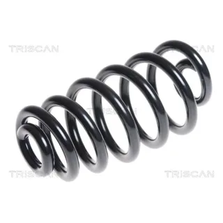 Triscan Feder hinten Seat Exeo 2,0