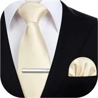 LuxusKollektion Krawatte Krawatte Herren Einstecktuch Krawattenklammer Set Einheitsgröße Beige