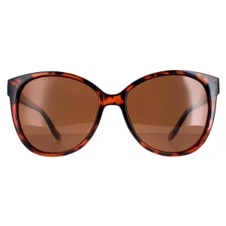 Montana Cat Eye Womens Glänzend Schildpatt Braun Polarisiert MP74B