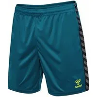 hummel Shorts Hmlauthentic Pl Shorts