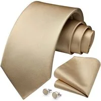 LuxusKollektion Krawatte Krawatte Herren Hochzeit Einstecktuch Manschettenknöpfe Set Champagner