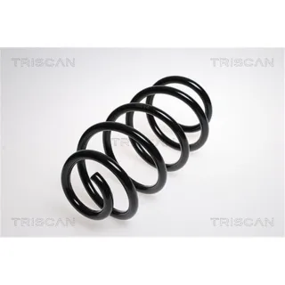 Triscan Feder vorne VW Transporter T6 875029151