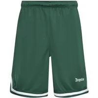 Dropsize Shorts Dropsize Herren Dropsize Logo Mesh Shorts (1-tlg)