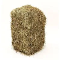 Dehner Einstreu Wiesenheuballen, schonend getrocknet, 10 kg, Heu als Nagereintreu geeignet