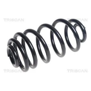 Triscan Feder hinten Chevrolet Orlando 2,0