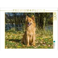 CALVENDO Puzzle CALVENDO Puzzle Harzer Fuchs im Herbst, 1000 Teile Lege-Größe 64 × 48, 1000 Puzzleteile