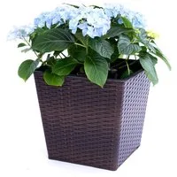 Elegant Einrichten Pflanzkübel quadratisch konisch Polyrattan 26x26x24cm coffeebraun (1 St)