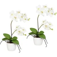 Kunstpflanze Orchidee Phalaenopsis Orchidee, Creativ green, Höhe 60 cm, im Keramiktopf