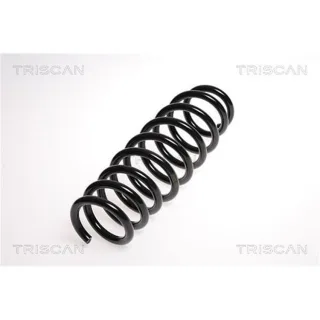 Triscan Feder hinten Alfa Romeo 159 875015129