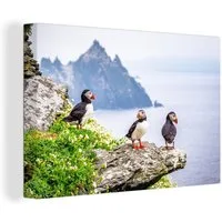 OneMillionCanvasses® Leinwandbild Drei Papageientaucher blicken auf das Meer hinaus, Fotodruck (1 St), Leinwand Bilder Klein, Wand Dekoration Aesthetic 30x20 cm