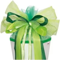 Roth Ideen Schultüte Roth Schultüten XXL Schleife GREEN SPIRIT ca. 63 x 32 cm