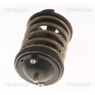 Triscan Thermostat Fiat 500l Panda Lancia Ypsilon