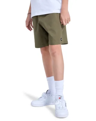 Element Shorts "Chillin Classic 15.7""