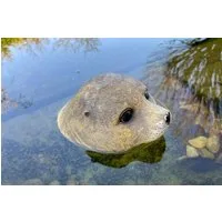 LB H&F Lilienburg Teichfigur Teichfigur Seehund Kopf Schwimmtier Dekofigur Tierfigur Gartenteich, (Schwimmfigur schwimmender Tierkopf Brunnen Schwimmdeko ROBBE Dekoration Schwimmkopf schwimmendes schwimmend Tierfigur Tier Gartendeko Pool, Gartenteich