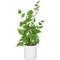 Künstliche Zimmerpflanze Philodendron hederaceum, Creativ green, Höhe 50 cm, im Design-Topf