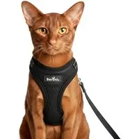 Beroni Katzen-Geschirr Katzengeschirr mit Leine für Katze ausbruchsicher, reflektierend, S - L für Bengal, Maine Coon, kleine Katzen inklusive Katzenleine