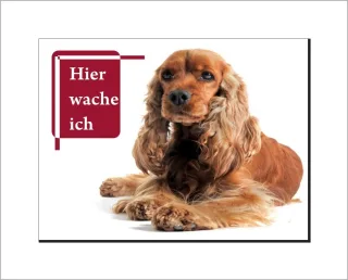 Cocker Spaniel Schild - HIER WACHE ICH!