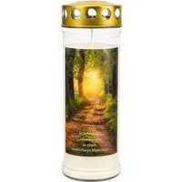 Kopschitz Kerzen Grabkerze 7-Tage-Brenner Grabkerze/Grablichte – Transparent Baumallee-Motiv
