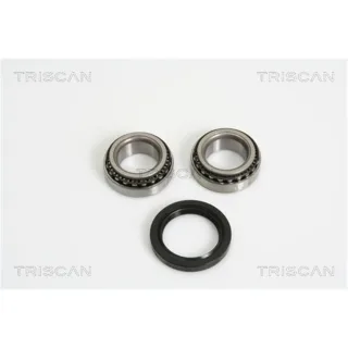 Triscan Radlager Hinten Ford Escort Fiesta KA Orion