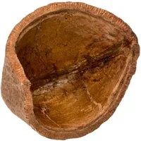 NaDeco Bastelnaturmaterial Casa Tingui Größe ca. 5-10cm Magonia pubescens