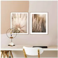 Reinders! Wandbild Natur Botanisch - Pampas - Löwenzahn - Nahaufnahme, (2 St)