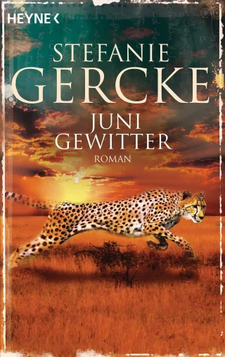 Junigewitter: Roman