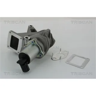 Triscan AGR-Ventil Renault Grand Laguna Megane Sc?nic 1,9 881325100