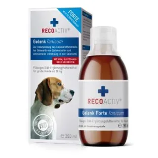 RECOACTIV Gelenk Forte für große Hunde, zur Unterstützung des Gelenkstoffwechsels bei Osteoarthritis