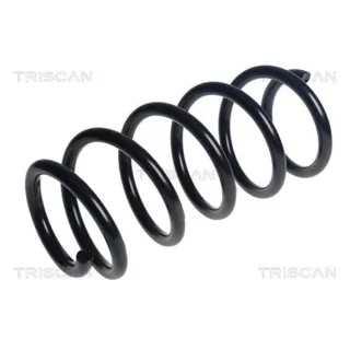 Triscan Feder vorne VW Crafter 2,0 TDI 875029533