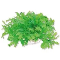 Happet Aquariendeko Aquarium Wasserpflanzen Kunststoff Aquarien Kunst Pflanze 10 cm