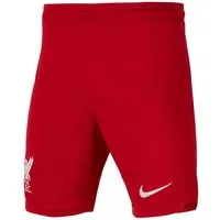 Nike Sporthose Nike Performance FC Liverpool Short Home 2023/2024