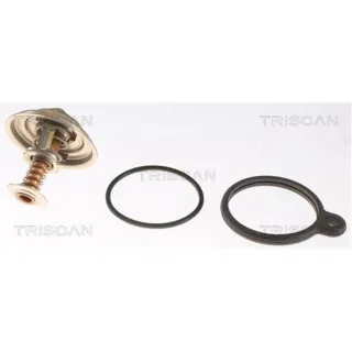Triscan Thermostat Mercedes E-Klasse S-Klasse SL Nissan Murano 2,5