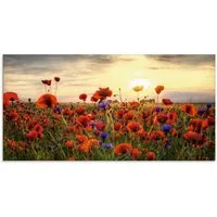 Artland Glasbild Mohnblumen, Blumen (1 St), in verschiedenen Größen