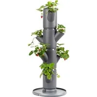 Gusta Garden Hochbeet SISSI STRAWBERRY starter (inkl. Wasserauslaufschutz & Wasserleitsystem), Erdbeerbaum mit 4 Etagen, anthrazit