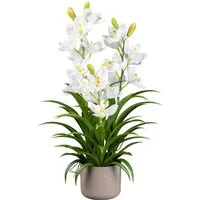 Kunstorchidee Orchidee Cymbidie Orchidee, Creativ green, Höhe 70 cm, mit traumhaft schönen Blüten