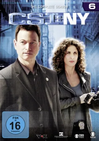 CSI: NY - Season 6 [6 DVDs]